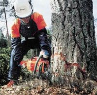 ������ ����������� Kinzo 11T7610