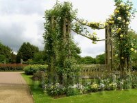 ������������ ����������