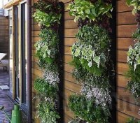 ������������ ����������