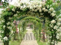 ������������ ����������