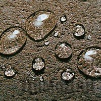 ������������������� ����������������� �������� ������-894�