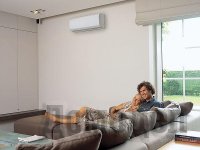 �����������-������� ���������� ����