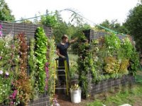 ������������ ����