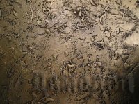 ���������� ��� ���� � �� �����������