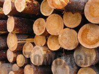 ������������ �������������� � �� ���������������