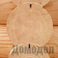 ������������ �������������� � �� ���������������