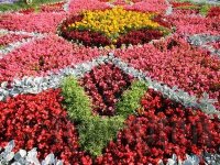 ���������� ������������ ���������