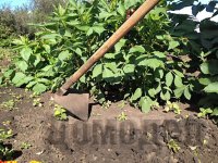 ������ ��� ����� �� ������������ ������� 