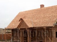 ���� � ������������, �����, ����������