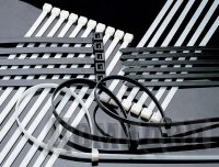 ��������� ������ �� ����� ������