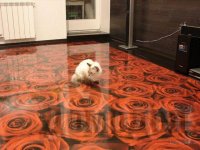 �������� ���. ������ ����!