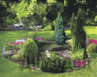 ��������, ������� ����� ������������ ����� �������������� �����