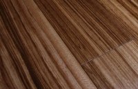 ������������ ������