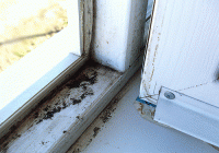 ��� ������� �������