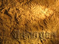 ������� ������� ������������ �����������