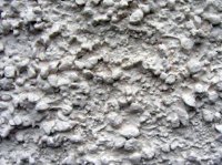 ������������ �������� ������