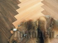 ������������ � ������� �������