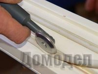 ��� �������� �� ���� ����?