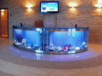 ������� �������� ��� �����