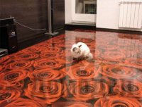 ���������� ���