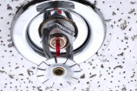 ������� ��������������� �����������