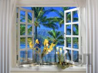 ��� ������������������ ����