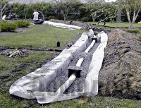 ������ ����