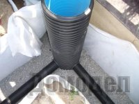 ������ ����