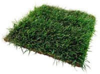 ��� ��������� ������� ��������� �������