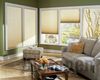 �������� �������