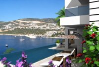 ������ ���� � ����� �� ����