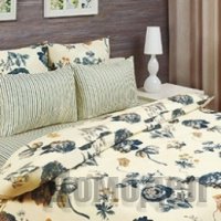 �������� �������� ��� ���� ������ ����