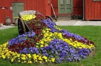 ��� ���������� ������