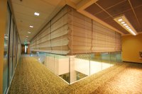 ���� ������������ ����������