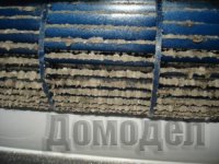 ������ �������������