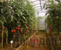 ������� �� �������������