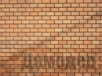 ��������� �����