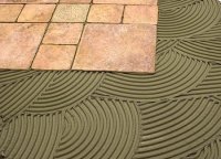 ����� ���� ��� ������