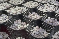 ����������� �������������