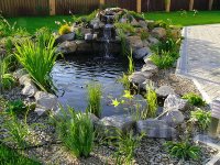 ����������� �������������