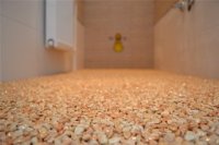 ����� ������������ �������� ��� ���� 