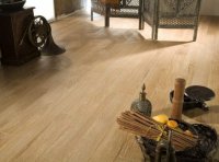 ����� ������������ �������� ��� ���� 