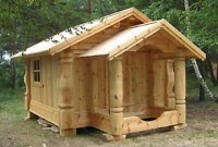 ������ ����