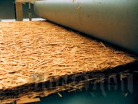 ����������� ��� ����