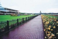 ����������� ������ � ����������� ���������� ������