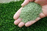 ����������� ������ � ����������� ���������� ������