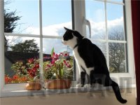 ��� ����������� ��� ������� ��������� ����������� ����?