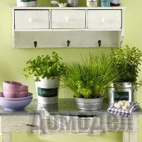 ����� ������ � ���������