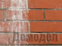 ������ ����� 