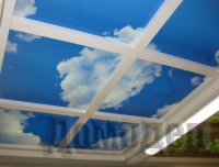 ������������ �������